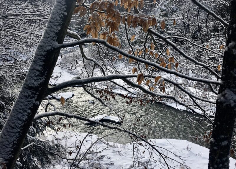 winter nature scene